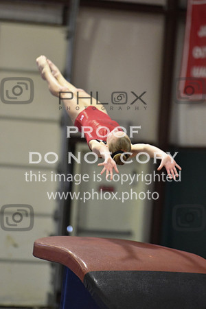 D85_2162