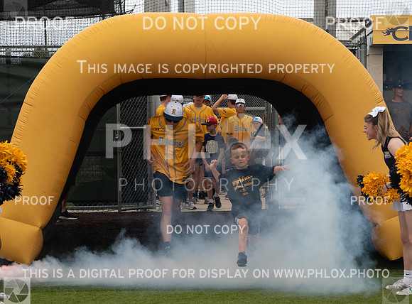 CAR_6023