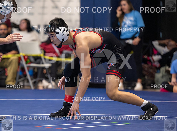DLS_4399