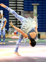 PSZ_183105
