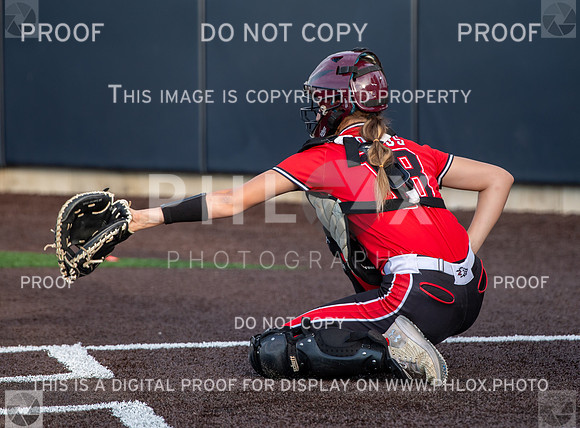 CAR_8146