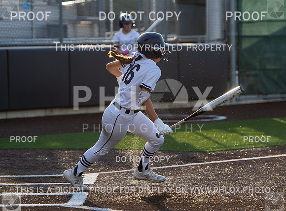CAR_8305