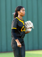 DLS_0069