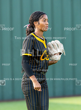 DLS_0069