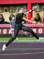 DLS_0060