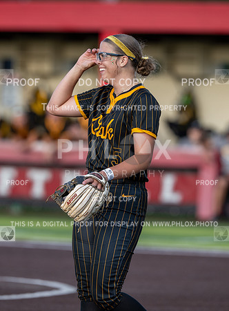 DLS_0092
