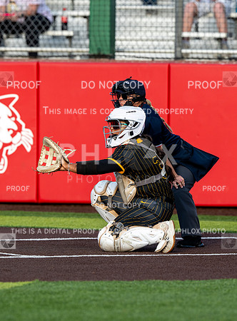 DLS_0106