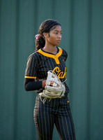 DLS_0137