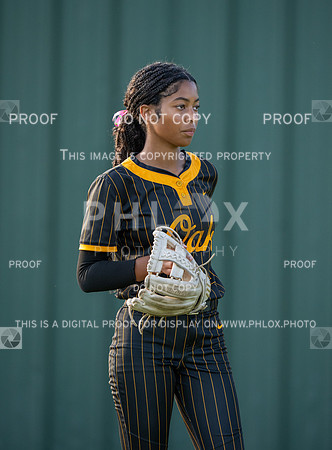 DLS_0137