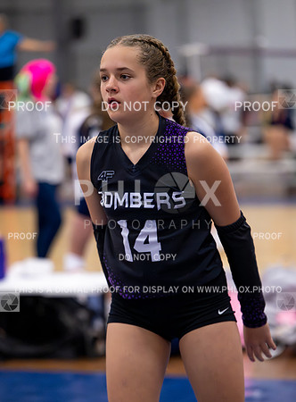 DLS_1673