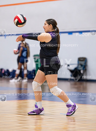 DLS_1705