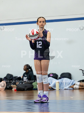 DLS_2399