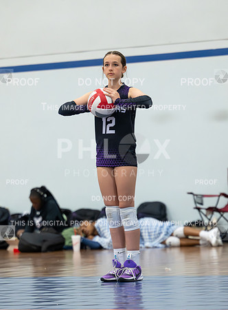 DLS_2409