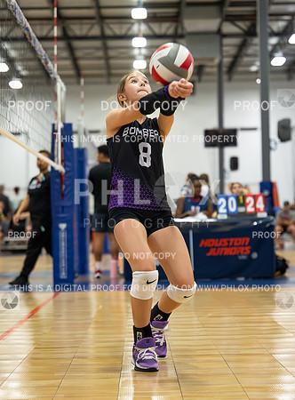 DLS_2452