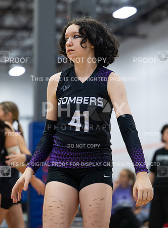 DLS_2517