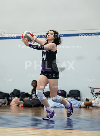 DLS_2595