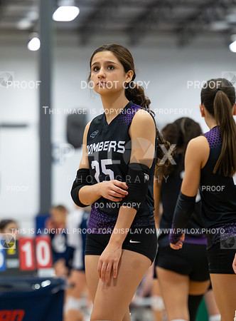 DLS_2643