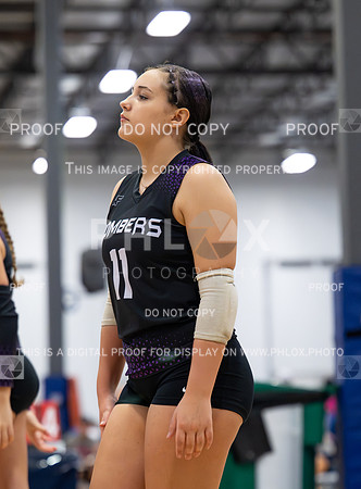DLS_2715