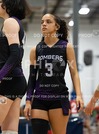 DLS_2817