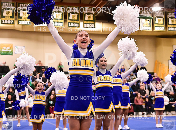 AlohaJuniorRecLargeGameDay (2 of 57)