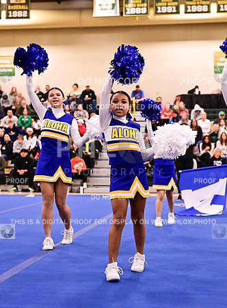 AlohaJuniorRecLargeGameDay (8 of 57)