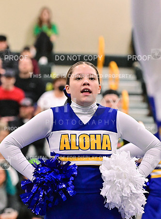 AlohaJuniorRecLargeGameDay (28 of 57)