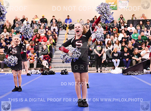 SherwoodJuniorrecLargeGameDay (5 of 44)