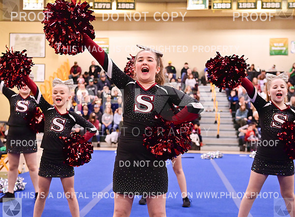 SherwoodJuniorrecLargeGameDay (9 of 44)