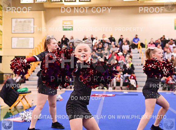 SherwoodJuniorrecLargeGameDay (11 of 44)