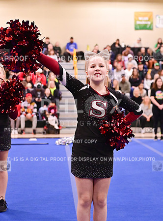 SherwoodJuniorrecLargeGameDay (12 of 44)