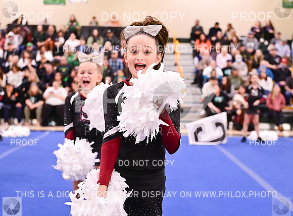 SherwoodJuniorrecLargeGameDay (14 of 44)