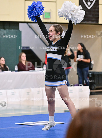 MountainsideLarge6AGameday (24 of 33)