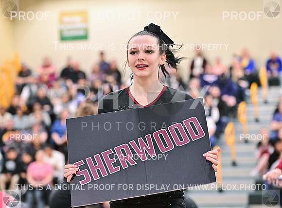 Sherwood6ASmall (14 of 19)