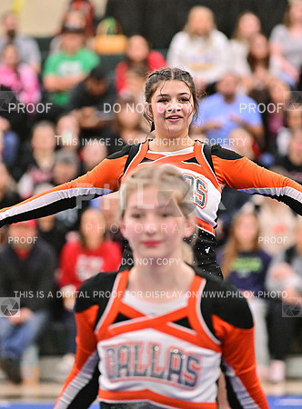 Dallas Small Varsity (12 of 25)