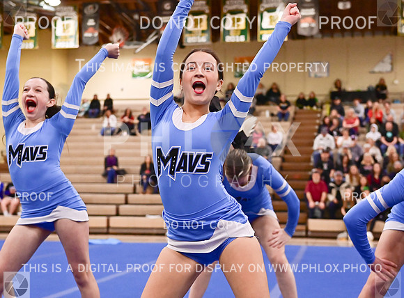 MountainsideSmallJV (8 of 39)