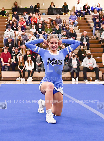 MountainsideSmallJV (9 of 39)