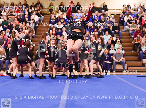 Sherwood Youth Cheer Junior Rec Large (5 of 18)