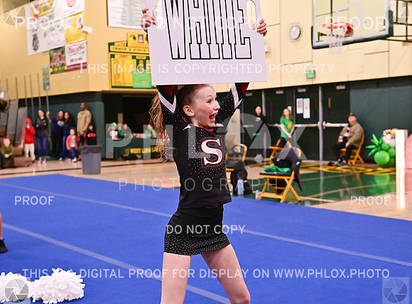Sherwood Youth Cheer Junior Rec Large (3 of 18)
