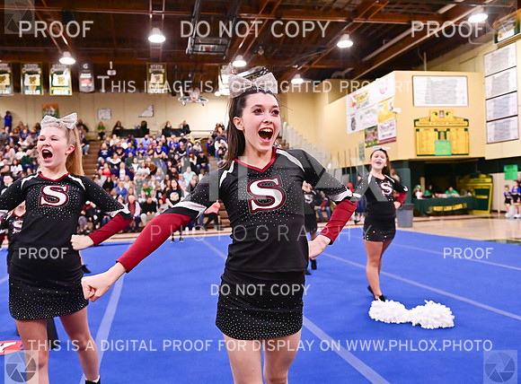 Sherwood Youth Cheer Junior Rec Large (2 of 18)