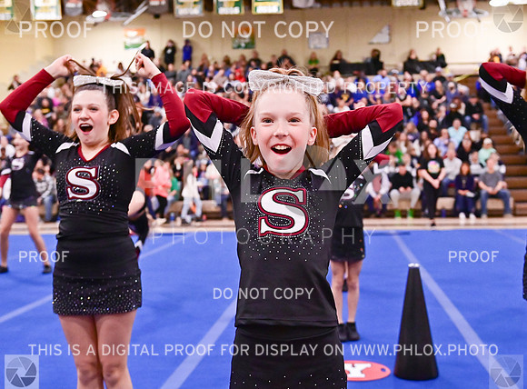 Sherwood Youth Cheer Junior Rec Large (1 of 18)