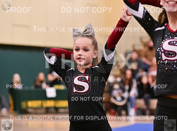 Sherwood Youth Cheer Junior Rec Large (8 of 18)