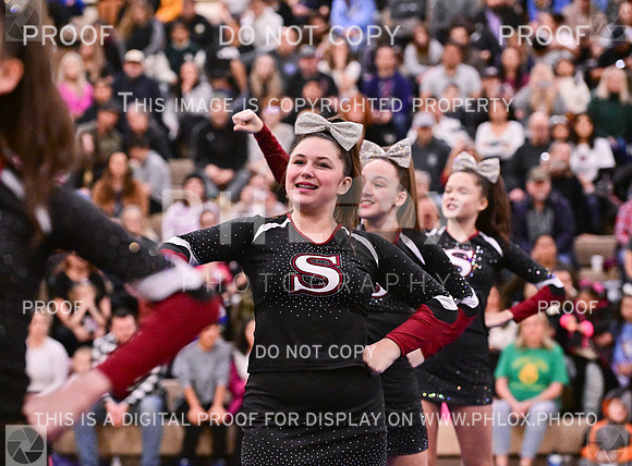 Sherwood Youth Cheer Junior Rec Large (9 of 18)