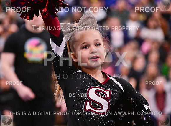 Sherwood Youth Cheer Junior Rec Large (10 of 18)