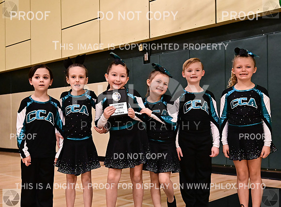 Awards (9 of 77)