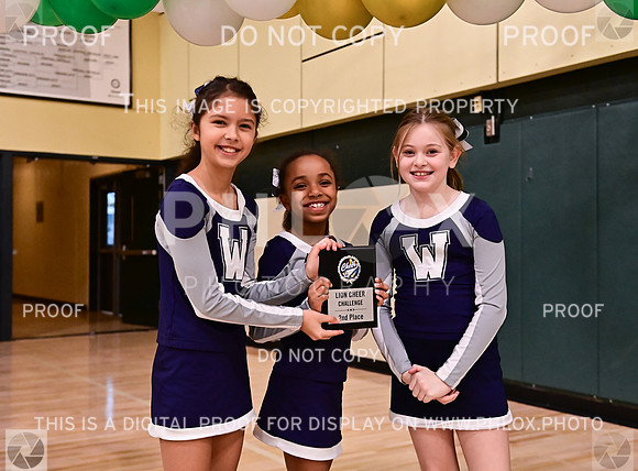 Awards (13 of 77)