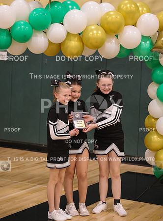 Awards (22 of 77)