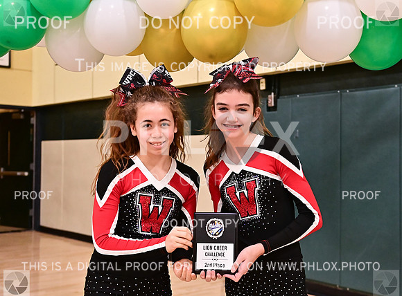 Awards (33 of 77)