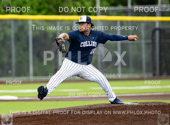 DLS_8007