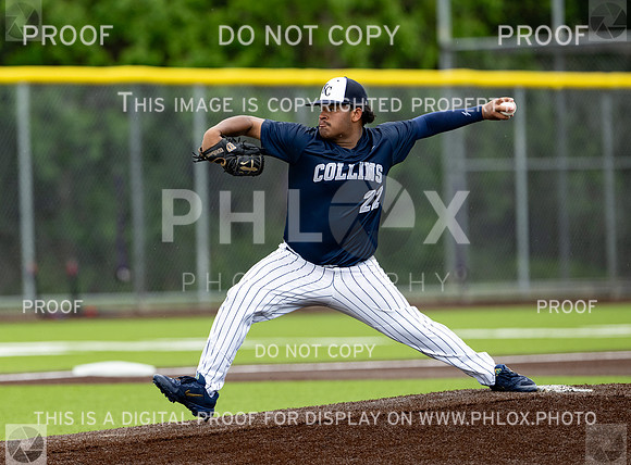 DLS_8008