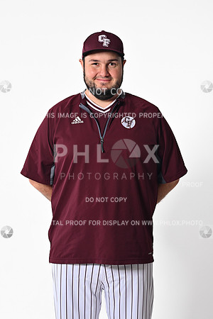 DLS_0300